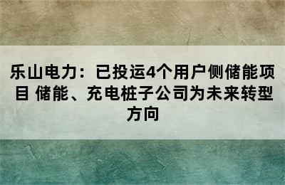 乐山电力：已投运4个用户侧储能项目 储能、充电桩子公司为未来转型方向